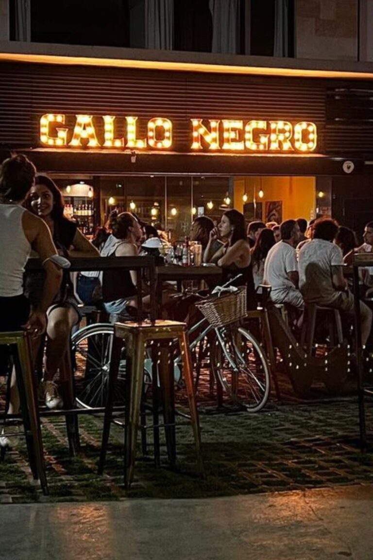 Galeria 01